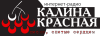Интернет-радио Калина Красная